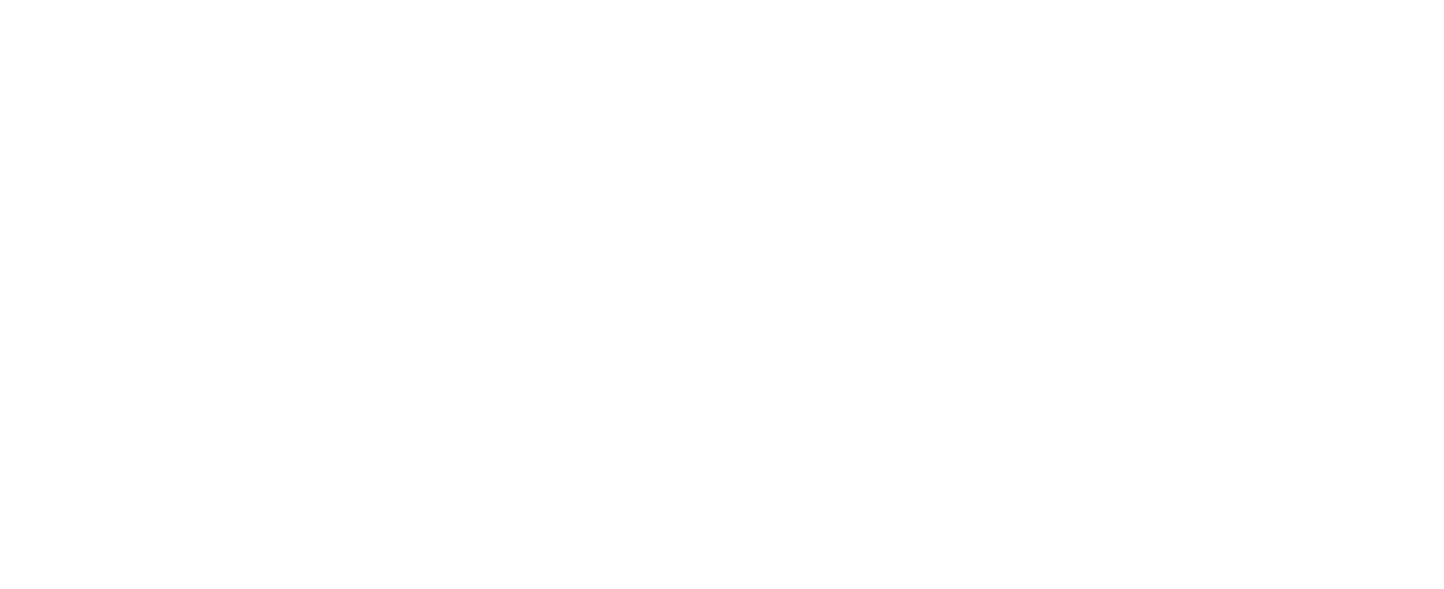 Nureva Inc.